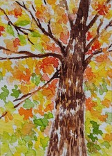 aceo original art Watercolor Painting Of Tall Autumn Tree picture