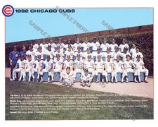 1982 CHICAGO CUBS BASEBALL TEAM 8X10 PHOTO PICTURE picture