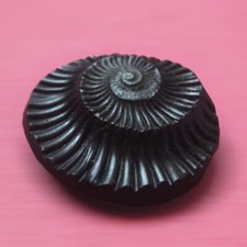 Sudarshan Shaligram Stone from Nepal Gandaki River Chakra Saligram 1.5