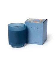 Illume Citrus Crush Boxed Glass Candle   NEW picture