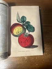 1847 Family Circle And Parlor Annual; As Is; Hand Colored Plates. picture
