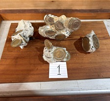 Copa Casino Gulfport Mississippi Foundation Tokens as seen WLOX Biloxi Aug News picture