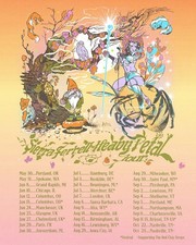 Sierra Ferrell Heavy Petal Tour 2026 Folk Concert Poster picture