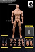 Nwtoys 1/12 Medium Muscle Body NW002 Super Flexible 6'' Male Body Doll Gift picture