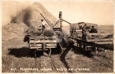 Hazenmore SK Canada Threshing Scene 1924 RPPC Photo Postcard COPY picture