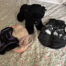 ON HOLD FOR NOW Douglas Retired St John Newfoundland Puppy Dog ESSA With Gear picture