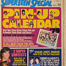Super Teen Special Jan 1979 Issue 3 Illustrated Shaun Cassidy Bee Gees picture