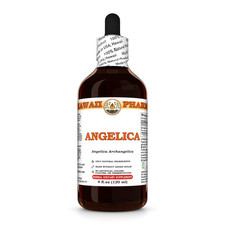 Angelica (Angelica Archangelica) Dried Root Liquid Herbal Extract picture