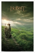 Trends International Hobbit An Unexpected Journey Poster 22.375x34 White Framed picture
