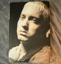 Whatever You Say I Am: The Life and Times of Eminem Hardcover Anthony Bozza picture