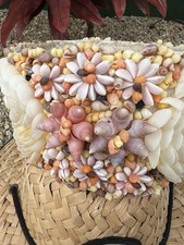 Authentic Tahitian Seashell Floral Crown picture