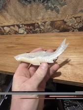 Antique Japanese Okimono Sculpture Of A Fish In Mother Of Pearl With Base picture