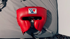 Winning Head Gear FG-2900 Face  Size Large  picture