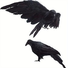 Halloween Fake Black Raven Decor 2 Poses Feathered Crow Prop Haunted House/Party picture