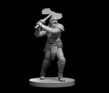 Berserker, choose Male or Female picture