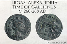 Alexandria Troas | Time of Gallienus | c. 260-268 AD |Tyche & She Wolf, Twins picture