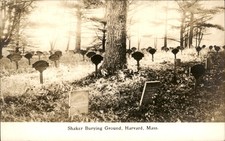 Harvard MA Shaker Burying Ground Cemetery c1900s-10s Real Photo Postcard bhn picture