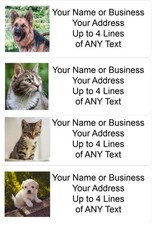 60 Personalized Address Labels with Your Pet Photo Custom Stickers Tag  picture