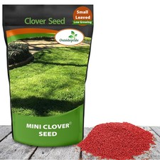10 LBS Miniclover Seed For Planting No Mow Drought Tolerant Clover Lawns picture