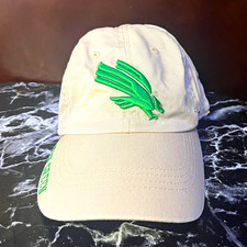  North Texas Mean Green Hat picture