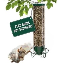 Droll Yankees Squirrel Proof Bird Feeder for Outdoors, 5 lb Seed Capacity picture
