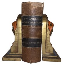1864, AMERICAN FAMILY PHYSICIAN, GUIDE TO HEALTH, MEDICAL, JOHN KING, 2 VOL IN 1 picture