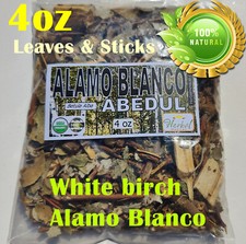 Alamo Blanco, Populus alba, chopo blanco,White poplar, silver poplar, silverleaf picture