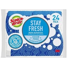 Stay Fresh Scrub Dots Non-Scratch Sponges 24 Pack Kitchen Cleaning Nonstick picture