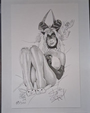 2011 Jim Balent's - TAROT: Witch of the Black Rose Signed  Lithograph  #197/500 picture