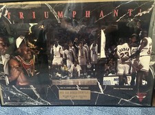 Chicago Bulls TRIUMPHANT 1991-92-93 NBA Champions Michael Jordan 23x35 POSTER picture