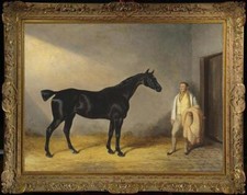 Old Master-Art Antique Oil Painting Portrait huntsman horse on canvas 24