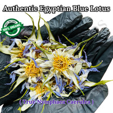 Blue Lotus Flower Dried Organic Egyptian Tea Nymphaea Caerulea picture