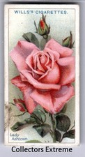 1926 Wills's Roses Tobacco Card #23 Lady Ashtown picture
