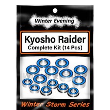 Winter Evening - for Kyosho Raider (14 Pcs Rubber Sealed Bearings Kit) picture