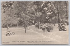 Winter Scene, Glen Springs Hotel Grounds, Watkins Glen NY New York Postcard 1911 picture