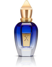 Torino21 Aromatic Green Niche Unisex Perfume | Luxury Lifestyle Perfume picture
