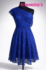 Francesca's Royal Blue One Shoulder Lace Dress picture