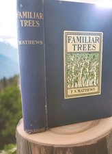 Familiar Trees and Their Leaves by F. Schuyler Mathews 1900s 1911 Illustrated  picture