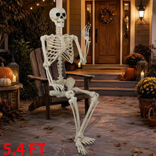 5.4ft Halloween Skeleton Full Body Life Size Skeleton Bones with Movable Joints picture