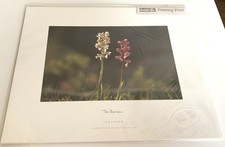 Photographer Peter Zoller THE BURREN IRELAND Framing PRINT NEW Irish Art  picture