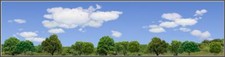 TRACKSIDE BACKDROP #570B Trees and sky N Scale picture