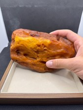 Natural baltic amber 504 grams  picture