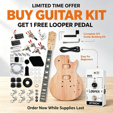 STRICH DIY Electric Guitar Kit LP Style Guitar WITH Pickups Full Set School Band picture