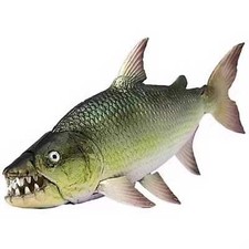 Africa Goliath Tigerfish Tiger Fish PVC Action Figure Model with Joints B picture