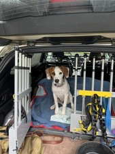 MIM Safe VarioGate System (Double) dog barrier with gates. picture