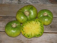 50 AUNT RUBY GERMAN GREEN TOMATO SEEDS FRESH HARVEST FOR GARDENS picture