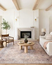 Loloi II Skye 9x12 Blush Grey Traditional Distressed Area Rug SKY-01 Vintage NEW picture