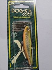 Megabass Dog-X Jr Coayu Modena Bone Topwater JDM Import US Shipper picture