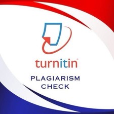One Time Check Turnitin and AI Check One Time Service picture