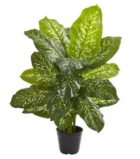 Nearly Natural Indoor 34 in. Dieffenbachia Artificial Plant picture